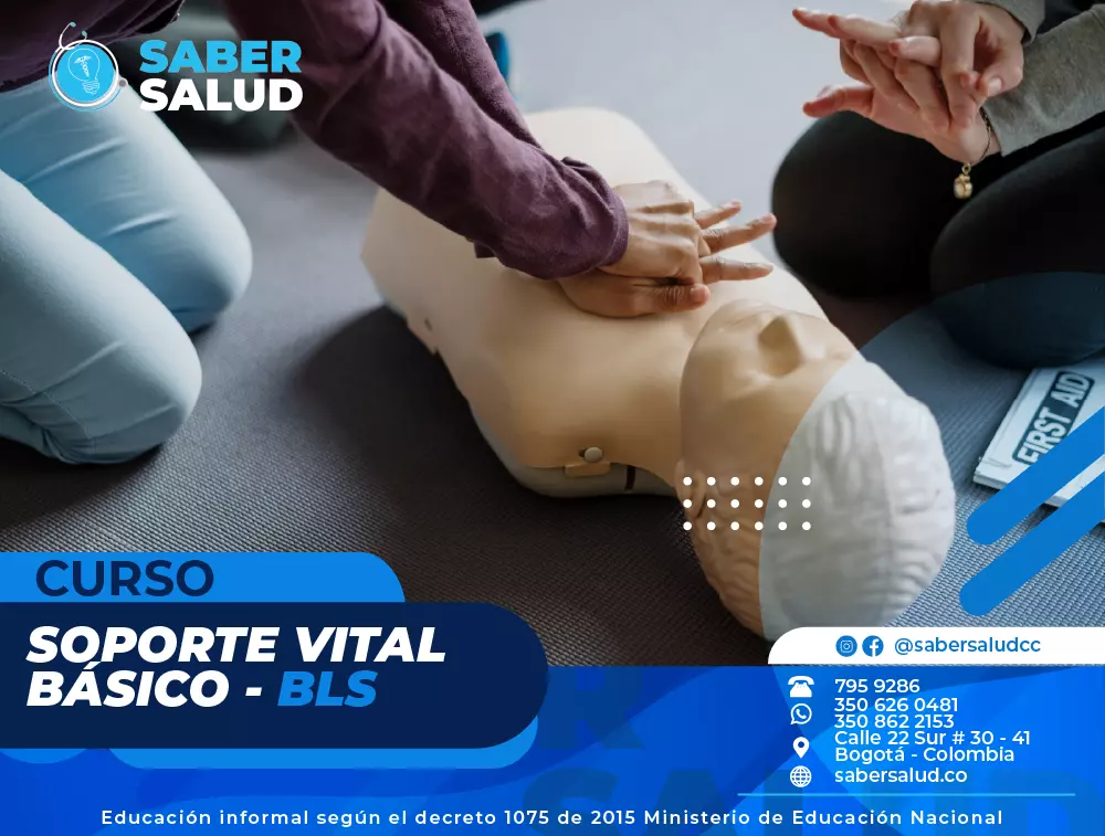 Curso Soporte Vital B Sico Bls Rcp