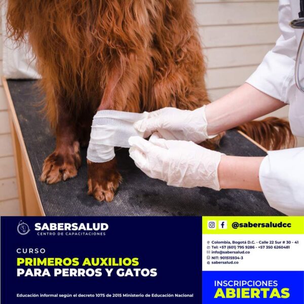 PRIMEROS AUXILIOS PARA MASCOTAS